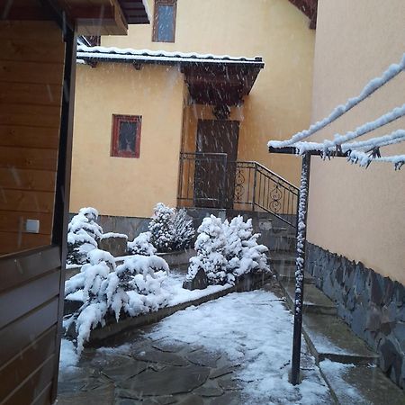 Dva Opryshka Villa Jaremcse Kültér fotó